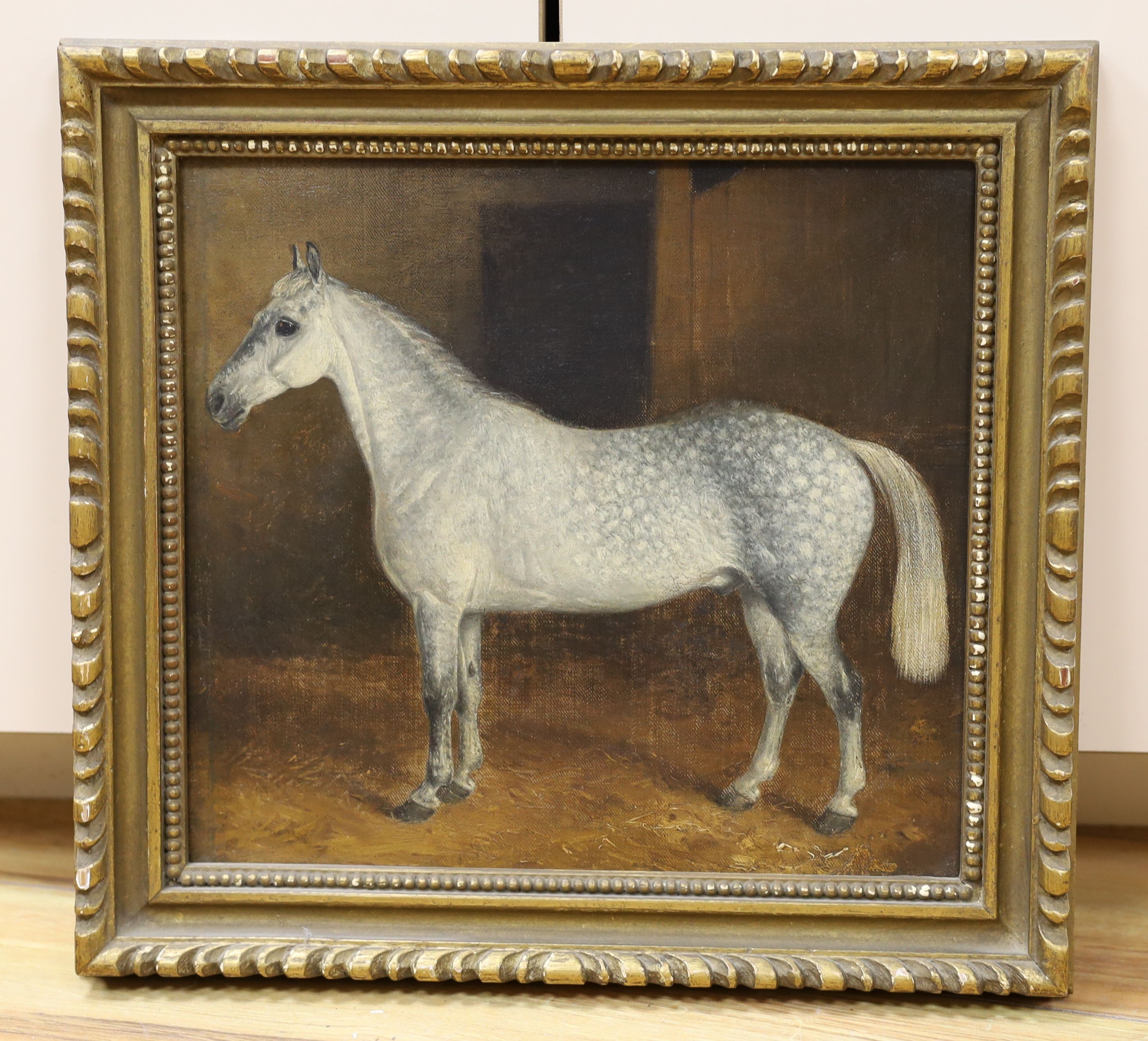 Late 19th century English School, oil on canvas, Dapple grey horse in a stable, 25 x 28cm